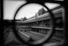 next horizon market elevation