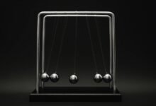 zenith authority growth momentum