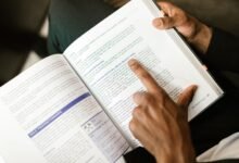 what is 242303834 guide for beginners