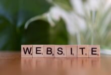 what is julietxxpanda guide for beginners